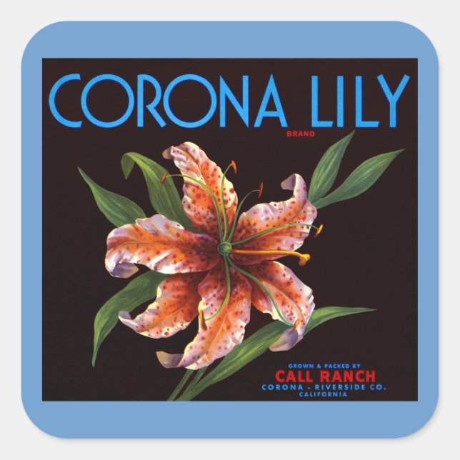 Corona Lily Square Sticker (Front)