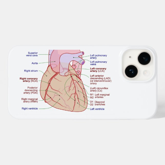 Coronary Arteries Circulation Diagram Human Heart Case-Mate iPhone Case (Back (Horizontal))