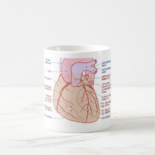 Coronary Arteries Circulation Diagram Human Heart Coffee Mug