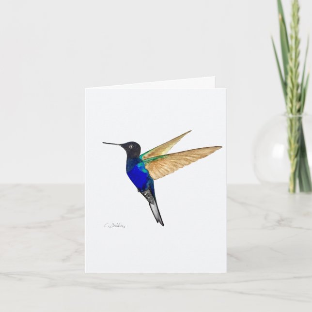 Coronet Hummingbird Greeting Card (Front)