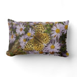 Coronis Fritillary on Aster Flowers at Grand Teton Lumbar Pillow