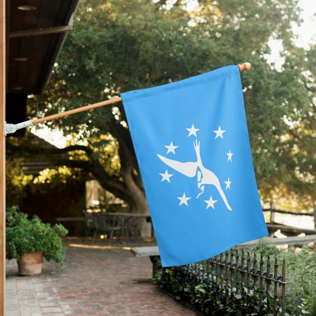 Corpus Christi flag (In SItu)