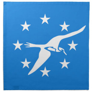 Corpus Christi Flag MoJo Napkin