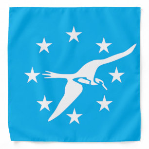 Corpus Christi (Texas) City flag Bandana