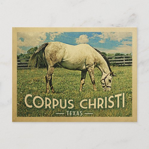 Corpus Christi Texas Horse Farm _ Vintage Travel Postcard