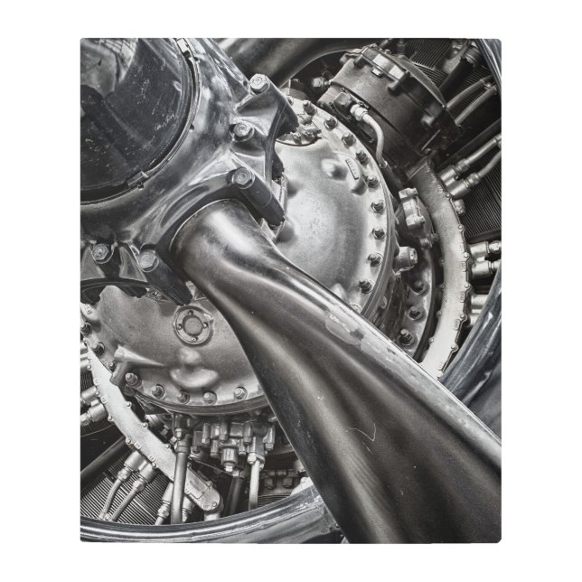 Corsair Metal Print (Front)