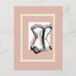 Corset on Pale Pink Postcard