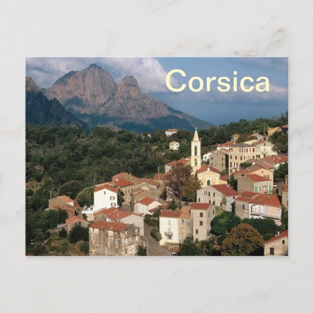 corsica france postcard (Front)