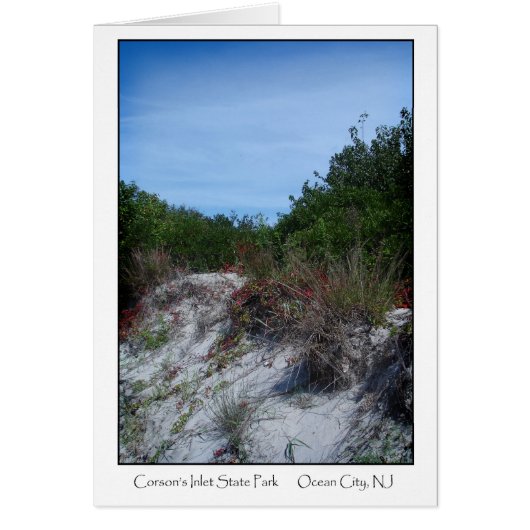Corson's Inlet State Park Cards (Front)