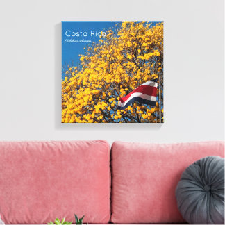Corteza amarilla Costa Rica Canvas Print