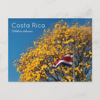 Corteza amarilla Costa Rica Postcard