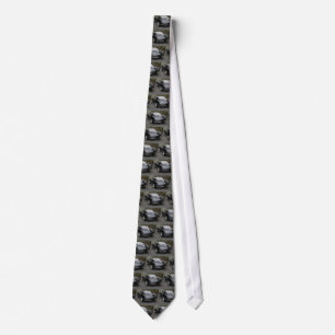 Corvette Classic Black Split Window Neck Tie
