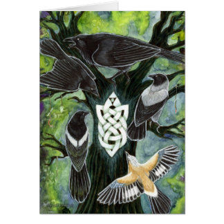 Corvidae Cards