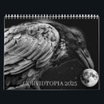 Corvidtopia Raven 2025 wall calendar<br><div class="desc">An 18 month Calendar displaying my photography of Ravens throughout the year. A great gift or a gift for yourself to display on your wall</div>