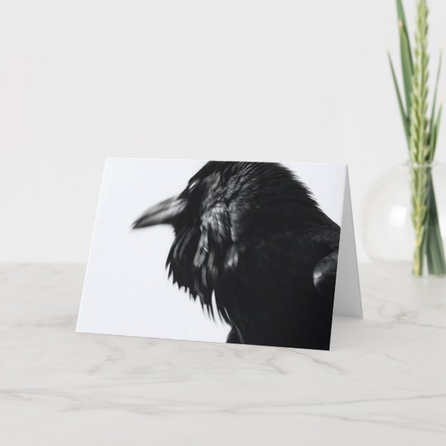 Corvus corax (Common Raven) Card (Front)