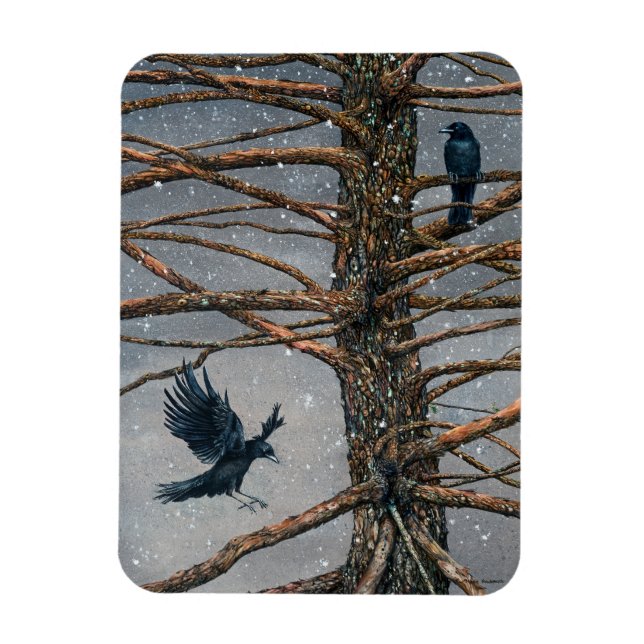 Corvus Corvidae and the Cedar Magnet (Vertical)