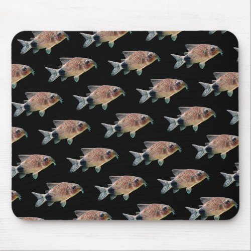 Corydoras caudimaculatusのマウスパッドNo01 Mouse Pad