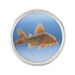 Corydoras Sterbai Catfish Lapel Pin