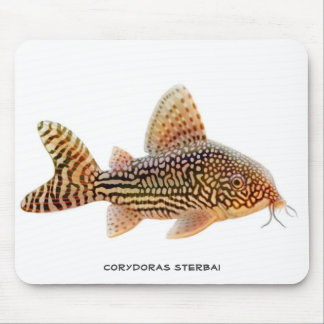 Corydoras Sterbai Catfish Mousepad