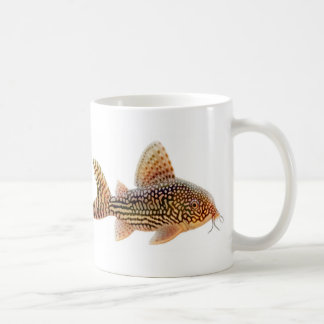 Corydoras Sterbai Mug