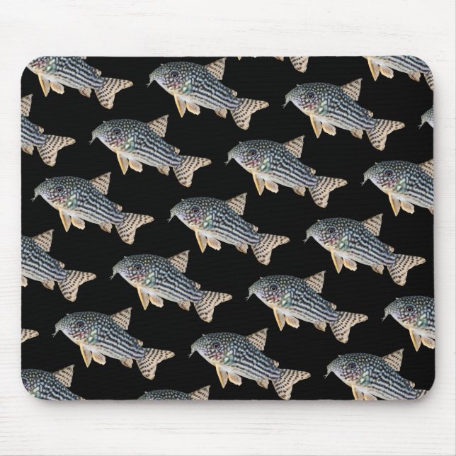 Corydoras sterbai , No.04 Mouse Pad (Front)