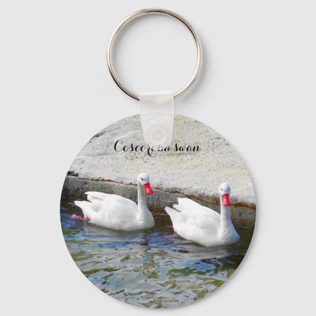 Coscoroba Swan #1 Keychain (Front)