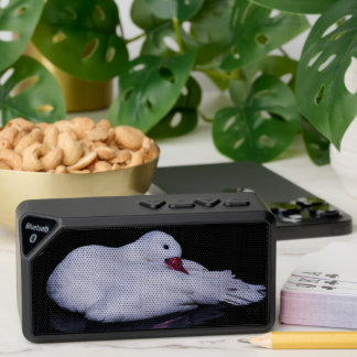 Coscoroba Swan P3442 Bluetooth Speaker