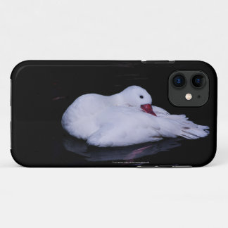 Coscoroba Swan P3442 iPhone 11 Case