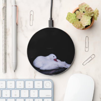 Coscoroba Swan P3442 Wireless Charger