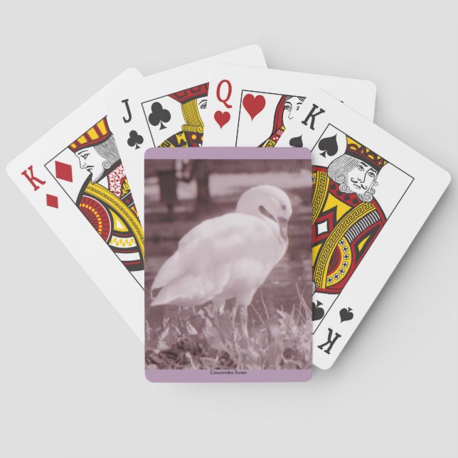 Coscoroba Swan Poker Cards (Back)