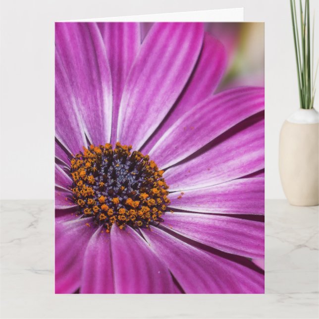 COSMEA PURPLE FLOWER BIRTHDAY OVERSIZED CARD (Front)