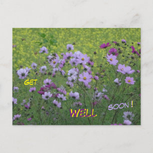 Cosmea & Rapeseed Field Get Well Soon Postcard