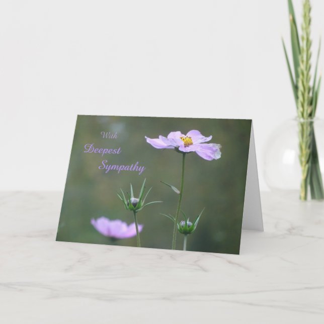 Cosmea, Wild Autumn Flowers Sympathy Greeting Card (Front)