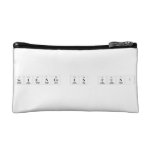 Science is Fun!  Cosmetic Bag