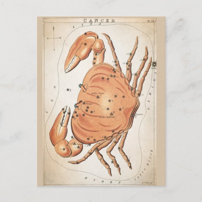Cosmic Cancer Zodiac Postcard (Front)