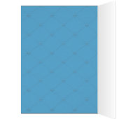 Cosmic Cat Moon (Inside (Left))