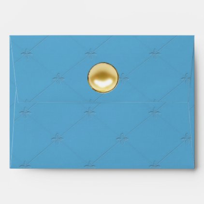 Cosmic Cat Moon Envelope