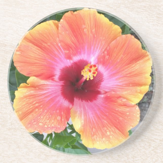 Cosmic Dancer Hibiscus Drink Coaster (Front)