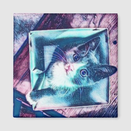 Cosmic Kitty in a Box Magnet