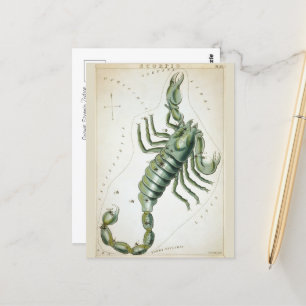 Cosmic Scorpio Zodiac Postcard