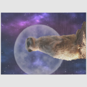 Cosmic Sentinel: Meerkat Under the Full Moon Tissue Paper