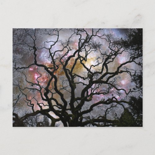 Cosmic Tree _ Colliding Galaxies Postcard