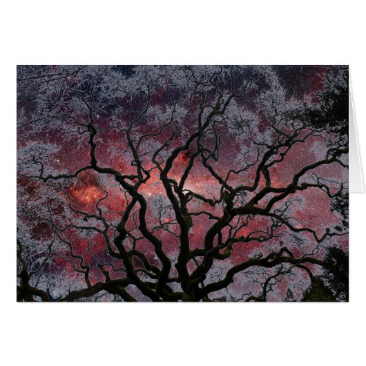 Cosmic Tree - Milky Way Center Cards (Front Horizontal)