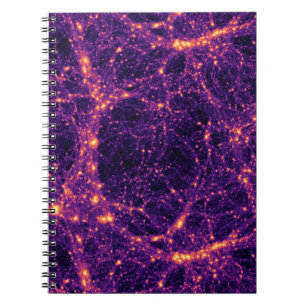 Cosmic Web Notebook