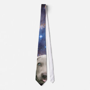 Cosmic Weimaraner in Space Tie