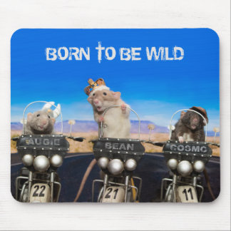 Cosmo, Augie and Bean - Born to Be Wild Mouse Pad