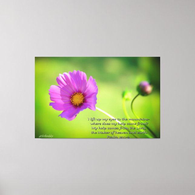 Cosmo flower with Bible Verse Psalms 121:1-2 Canvas Print (Front)