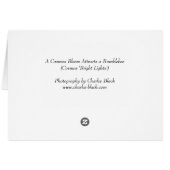 Cosmos Attracts Bumblebee Cards (Back Horizontal)