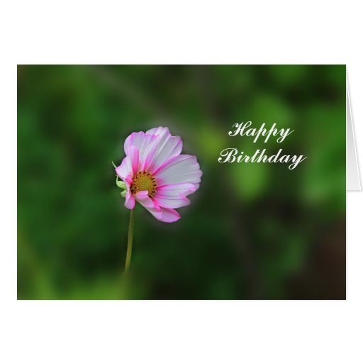 Cosmos Birthday Card | Zazzle