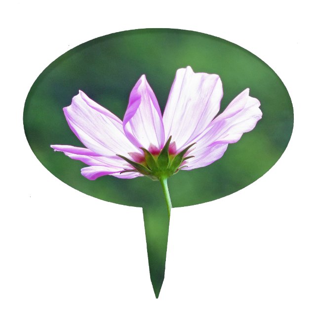 Cosmos Cake Topper (Front)